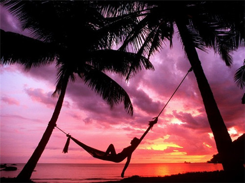 天津18道褶包子