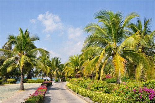 丹棱县开店创业杜松子酒加盟店最火爆的品牌排行榜，杜松子酒的功效与作用