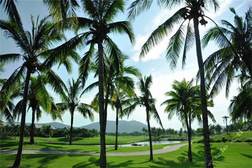 火锅店做广告设计文案，火锅店创意广告