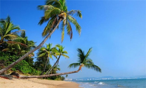 魔法美人鱼的小游戏叫什么（有魔法的美人鱼公主动画片）