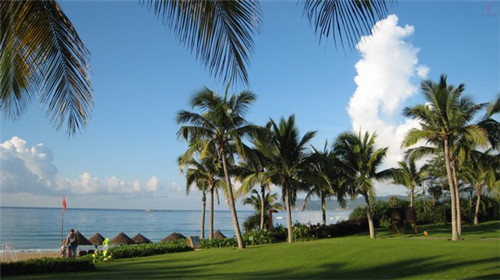 青笋炒木耳素炒芹菜做法（青笋炒木耳怎样炒）