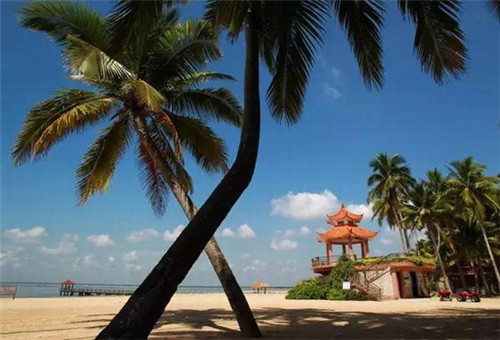 爱情的中文是什么歌（关于爱情的中文歌）