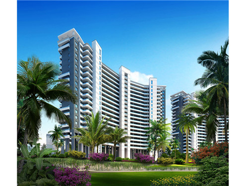 妹妹拿出新花招什么歌（妹妹花儿开就像你的爱是什么歌）